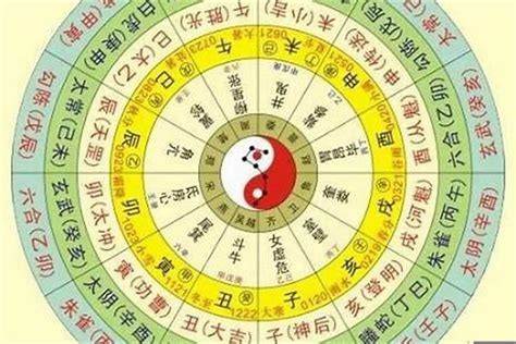 怎样知道自己五行属什么|教你快速查自己的五行属性，入门篇（一看就会，一试就废）